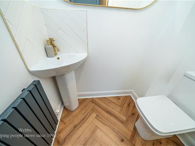 Picture 17
